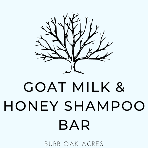 Goat Milk & Honey Shampoo Bar