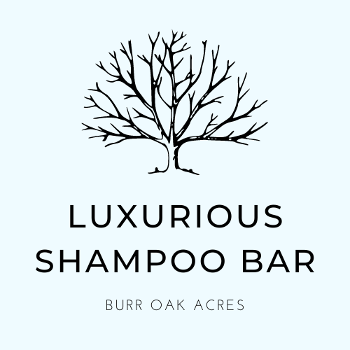 Luxurious Shampoo & Body Bar