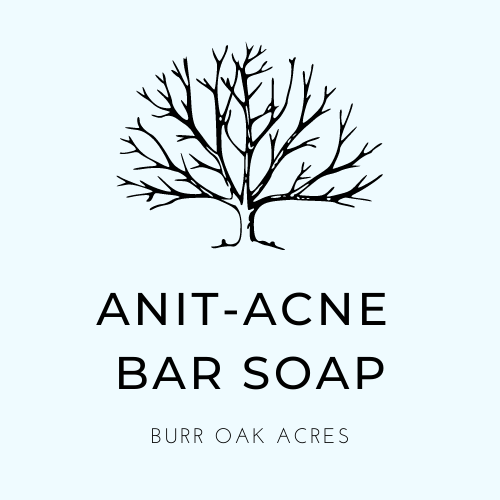 Charcoal & Tea Tree Face Bar