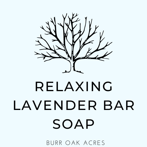 Relaxing Lavender Body Bar