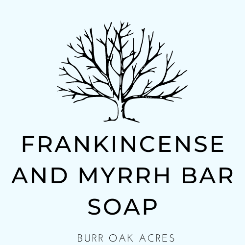 Frankincense and Myrrh Body Bar