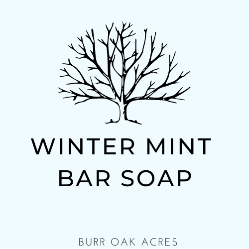 Winter Mint Body Bar