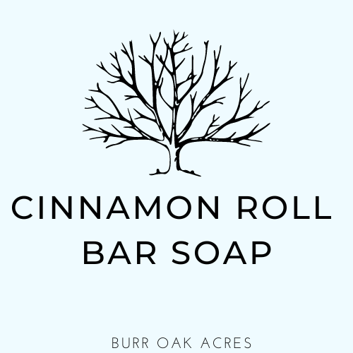 Cinnamon Roll Body Bar
