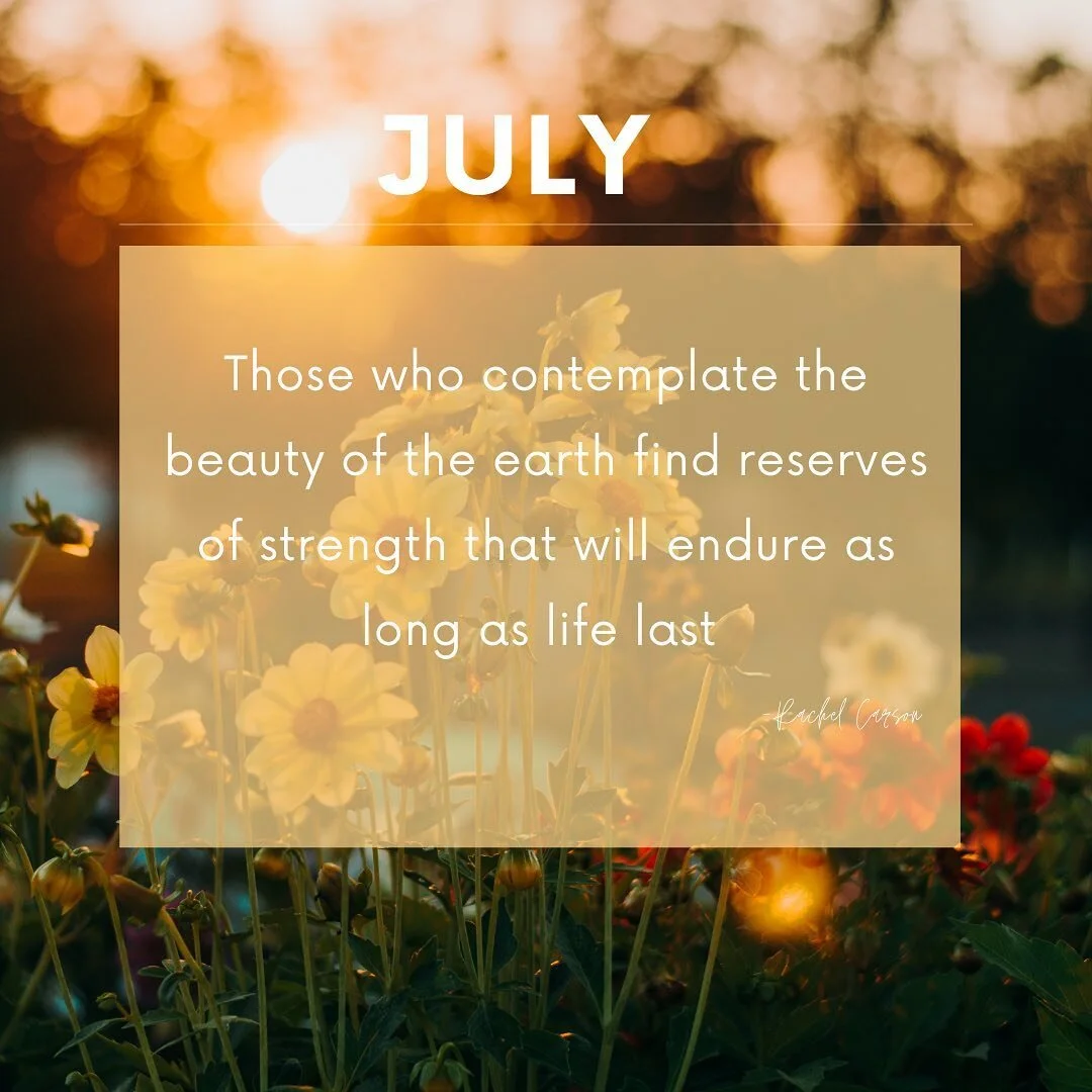 Celebrate your connection to the earth.
.
Maybe that&rsquo;s being a plant parent. 
.
Maybe a picnic outside.
.
Maybe it&rsquo;s a healthy meal 
. 
Or just setting on your front porch
. 
Tag @irise_wellness #healthylifestyle #heathlyfood #earthfocus 