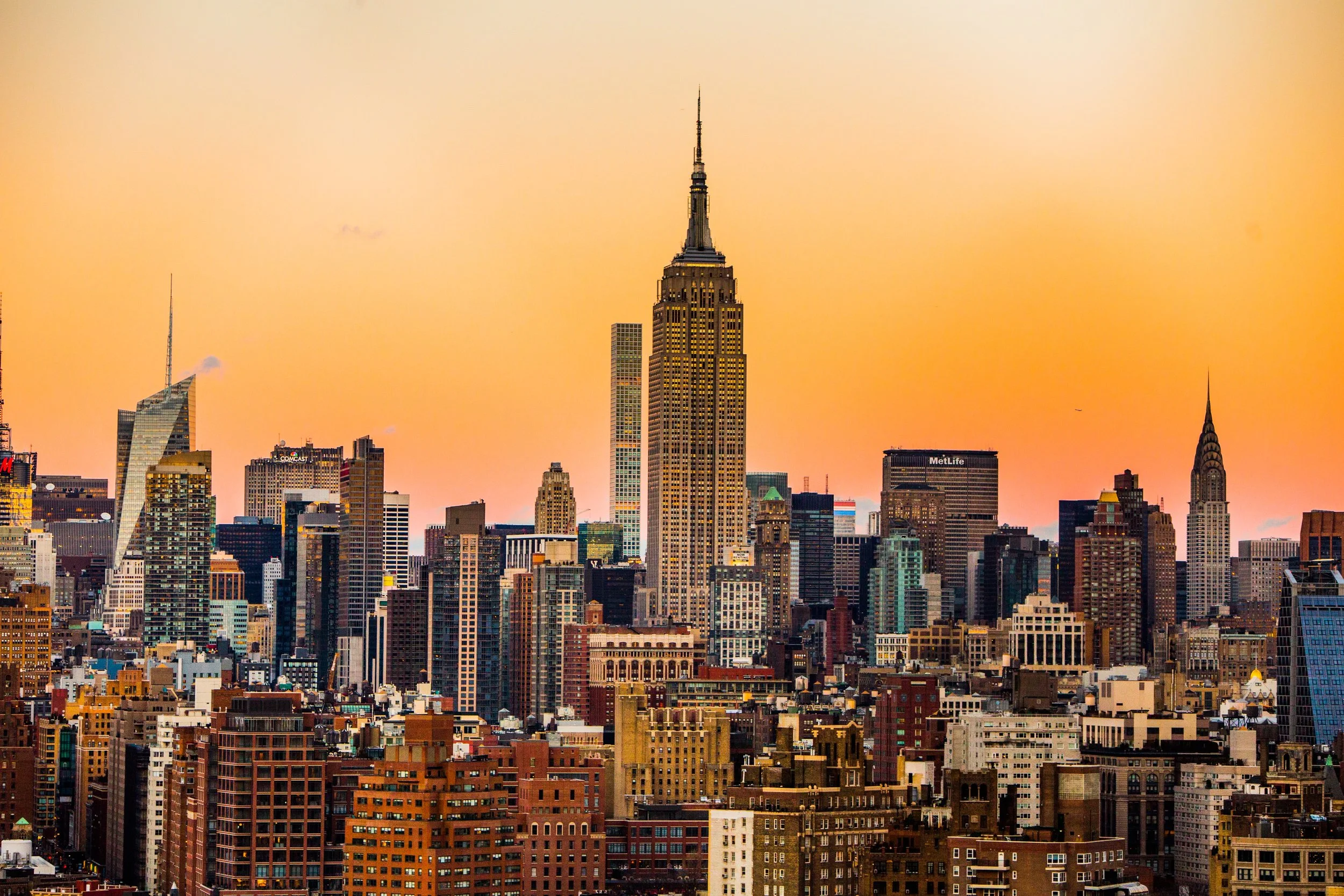 Blockchain for Climate Foundation at the UN Climate Action Summit 