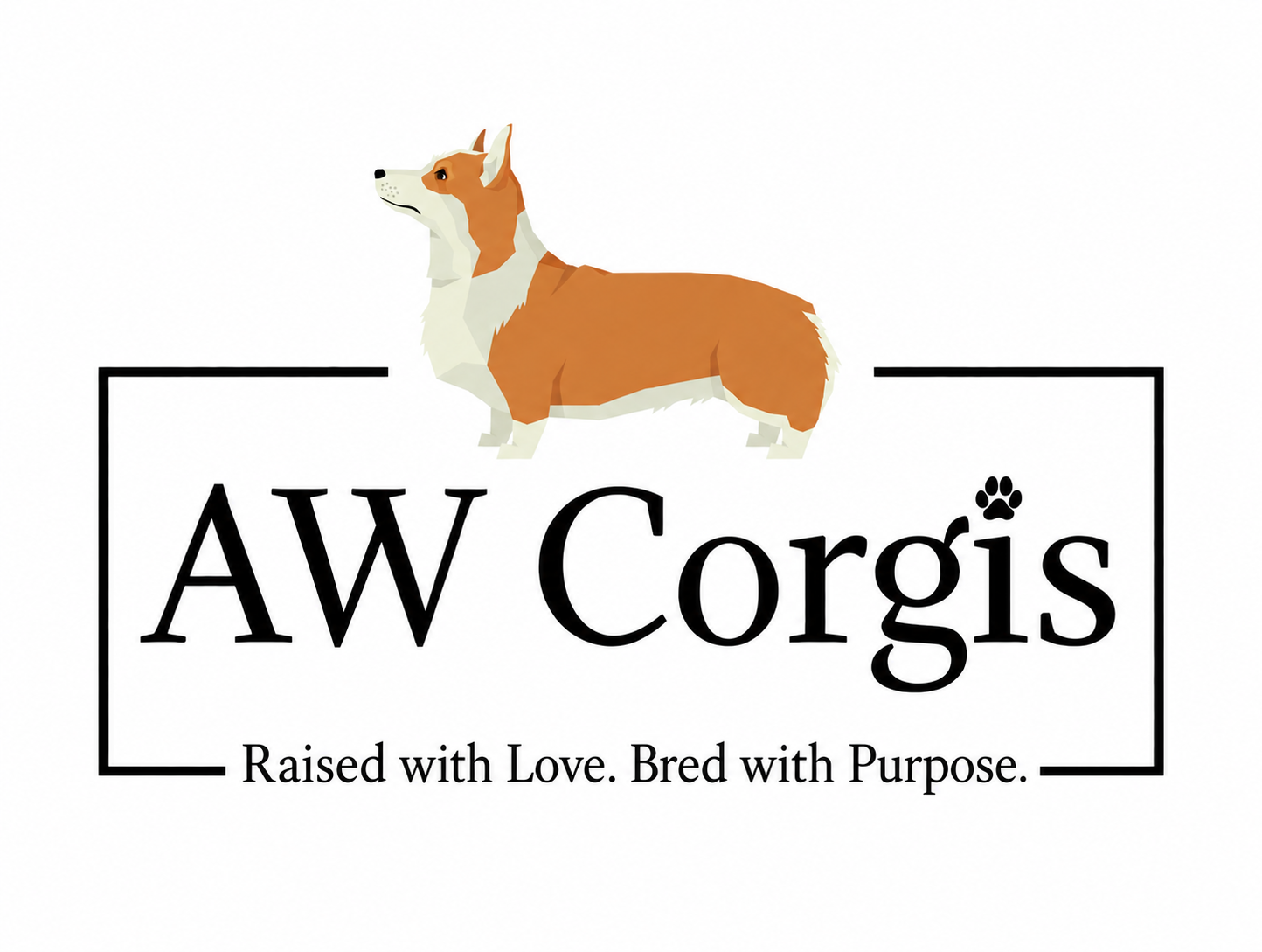 AW Corgis