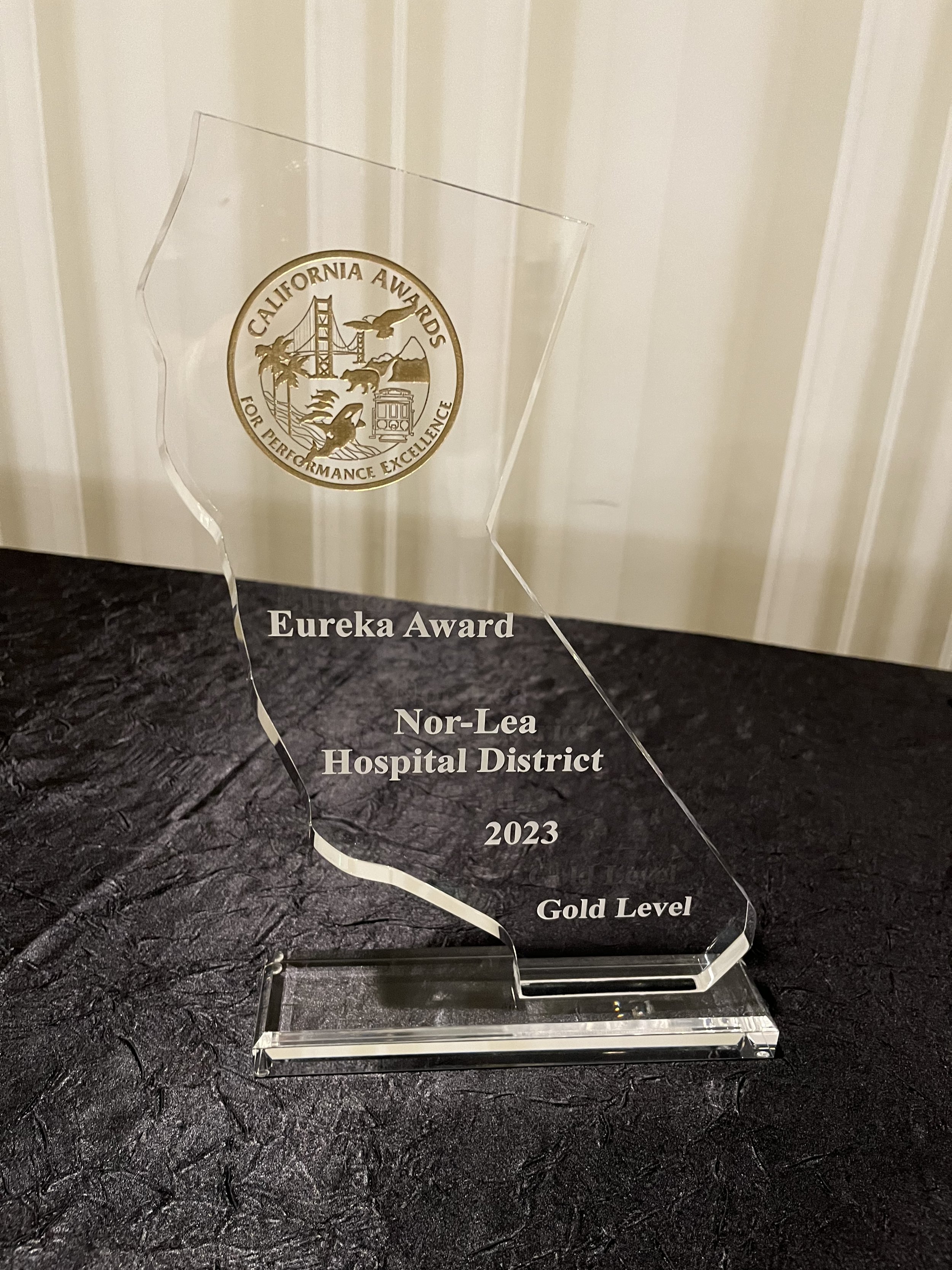 2024 CCE and CAPE Award and Recognition recipients