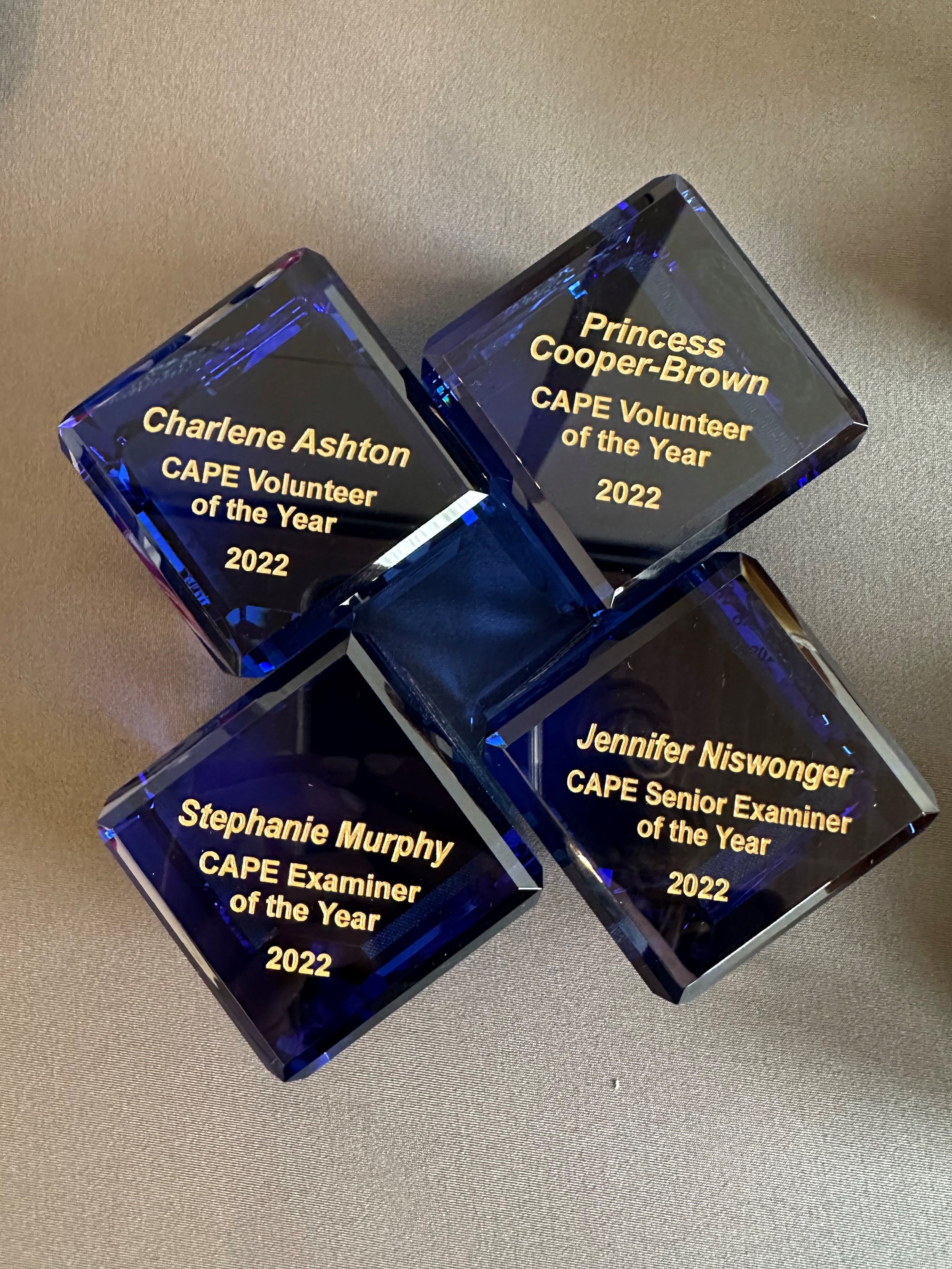 2022 CAPE Volunteer Awards