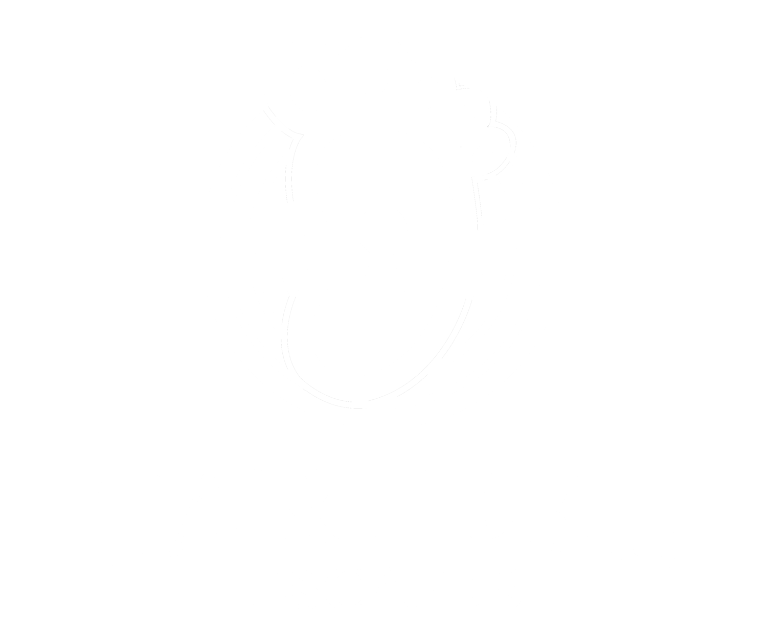 Tar Heel Escapes