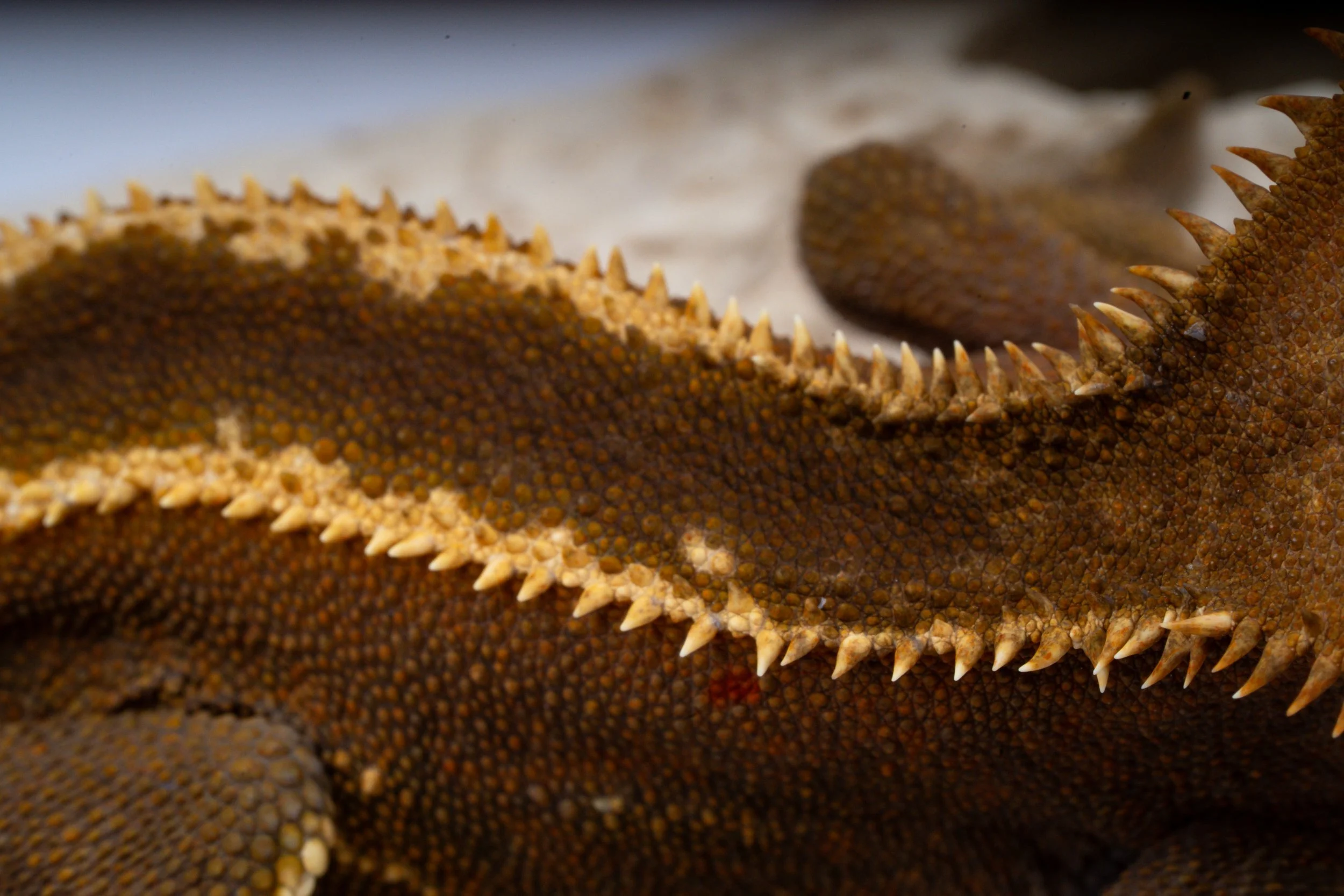 DSC05382.jpg