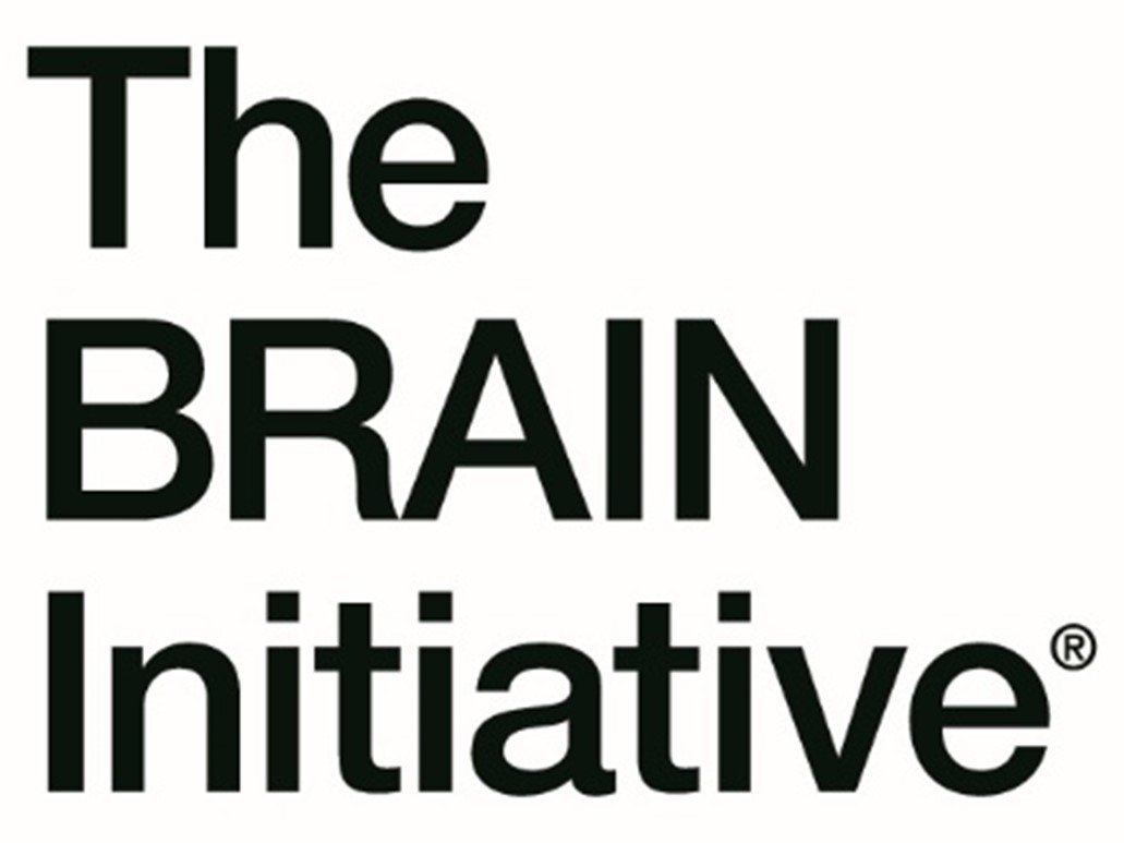 The lab has been awarded a collaborative UM1 grant from NIH’s BRAIN Initiative!
