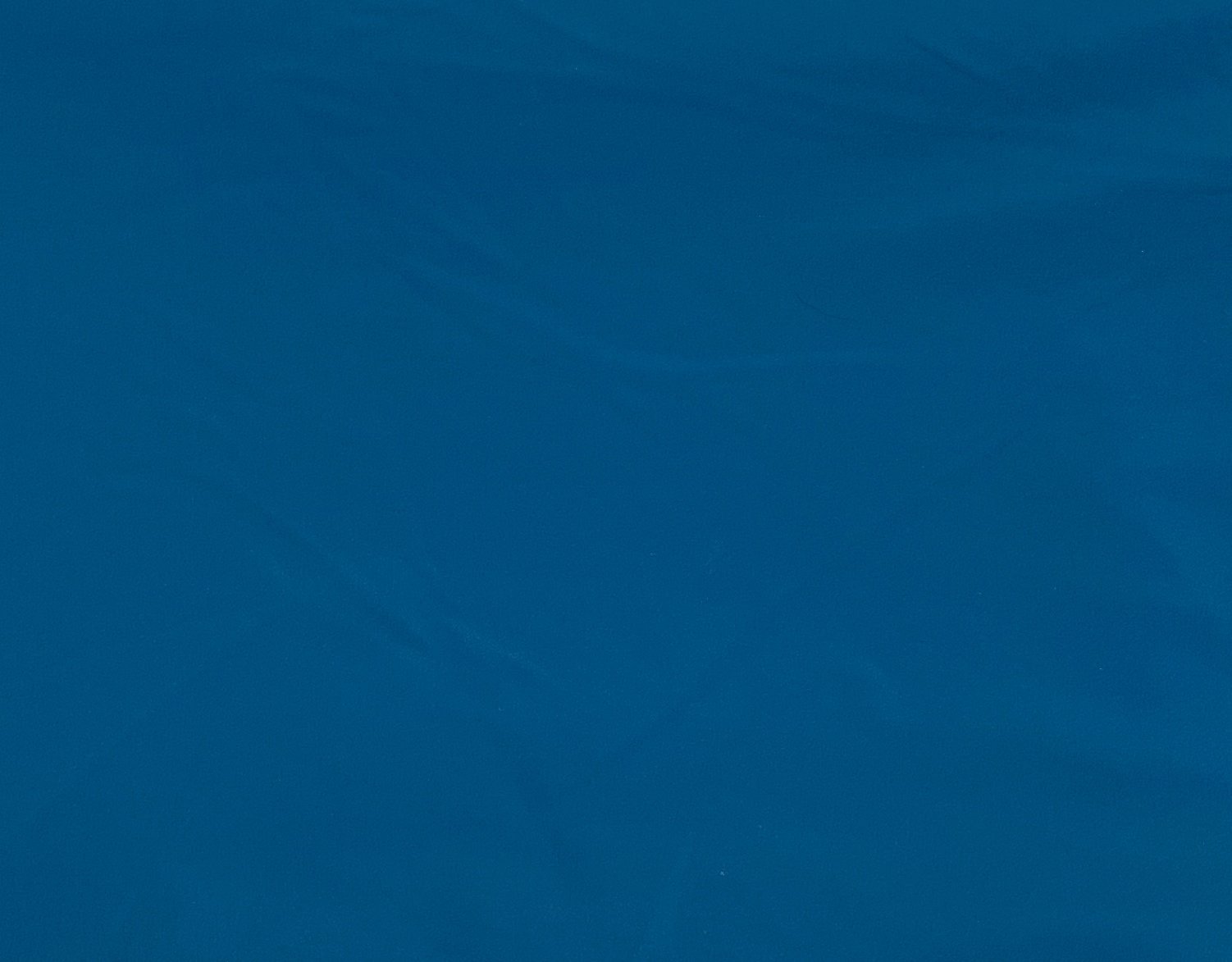 F691FB1F-E645-4C06-9B7D-0FC4C50D4306_1_201_a.jpeg