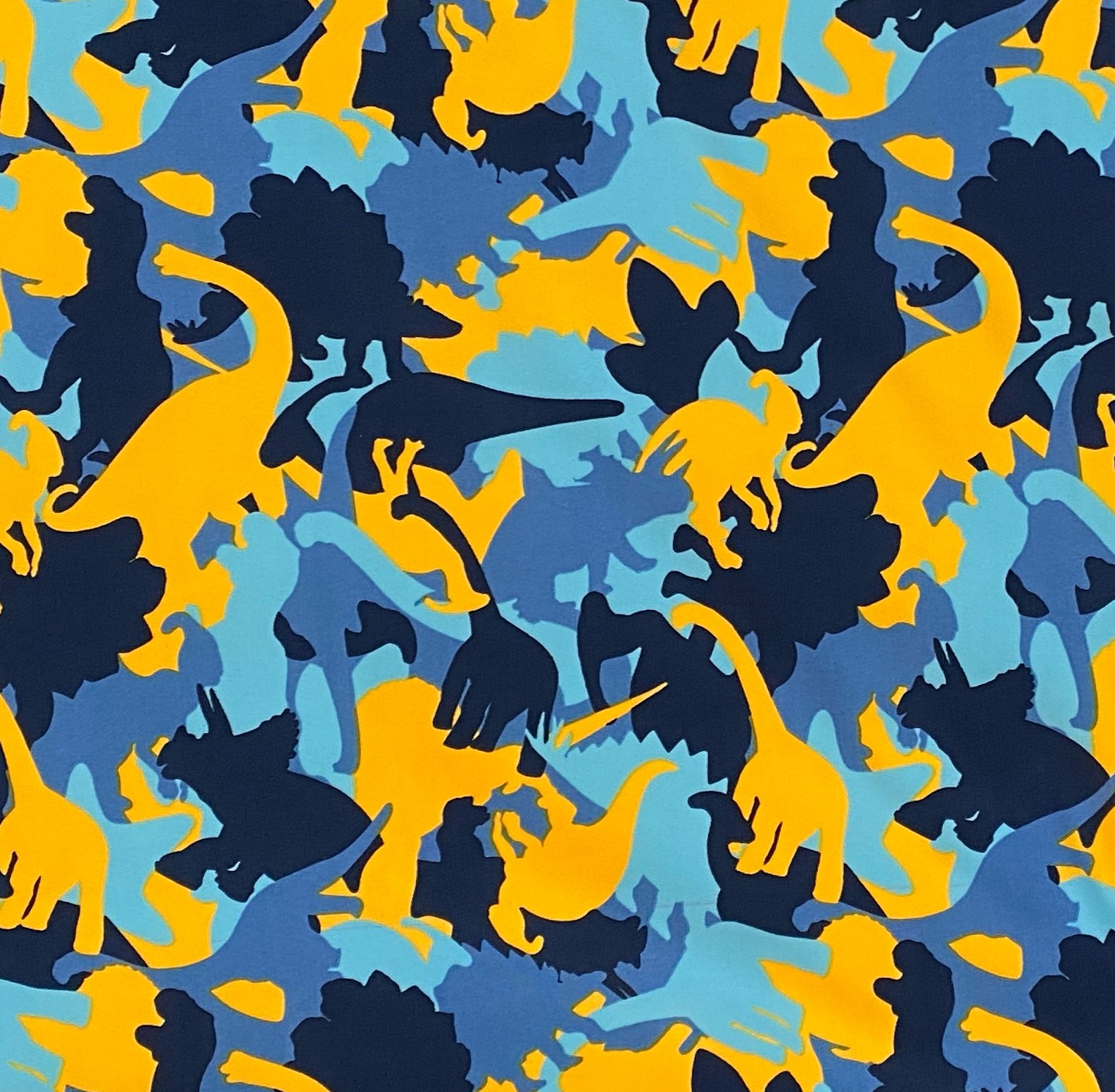 80F223EE-5982-4F0D-B8EB-2DA84A557860_1_201_a.jpeg