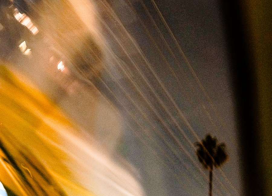 Furious Palms24.jpg
