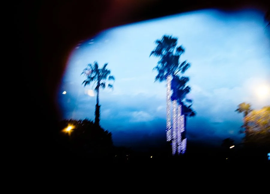 Furious Palms27.jpg