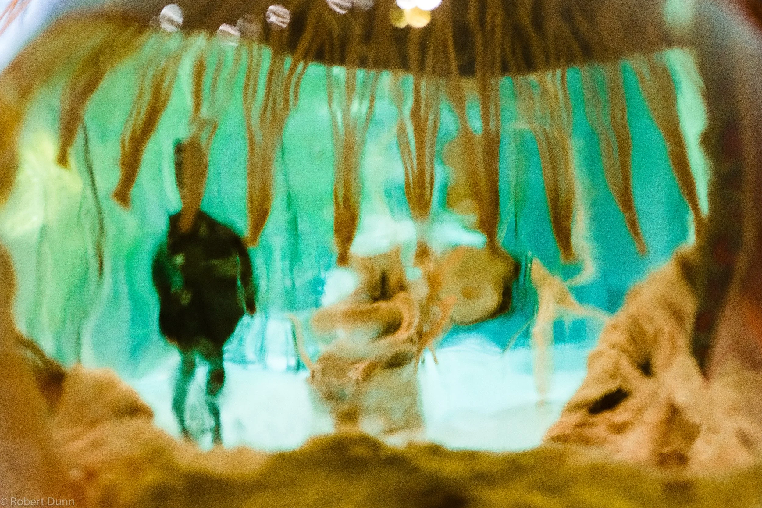 Museum-website-15.jpg