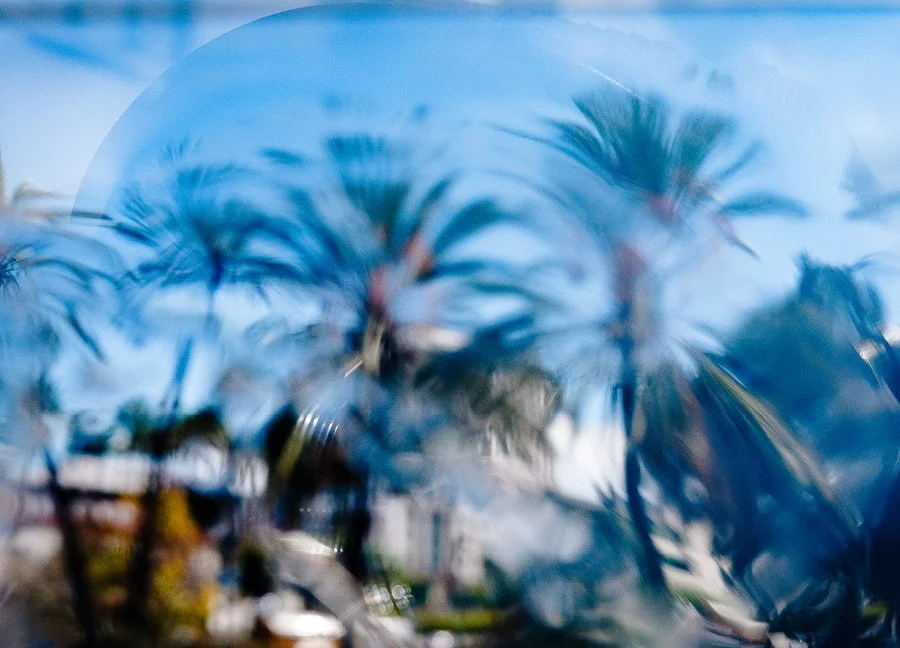 Furious Palms33.jpg