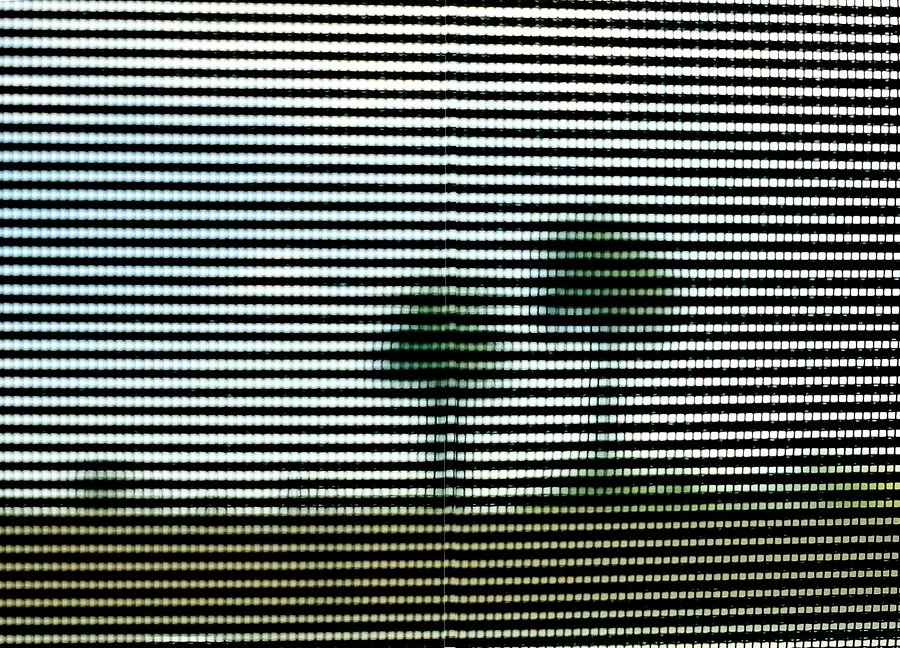 Furious Palms26.jpg