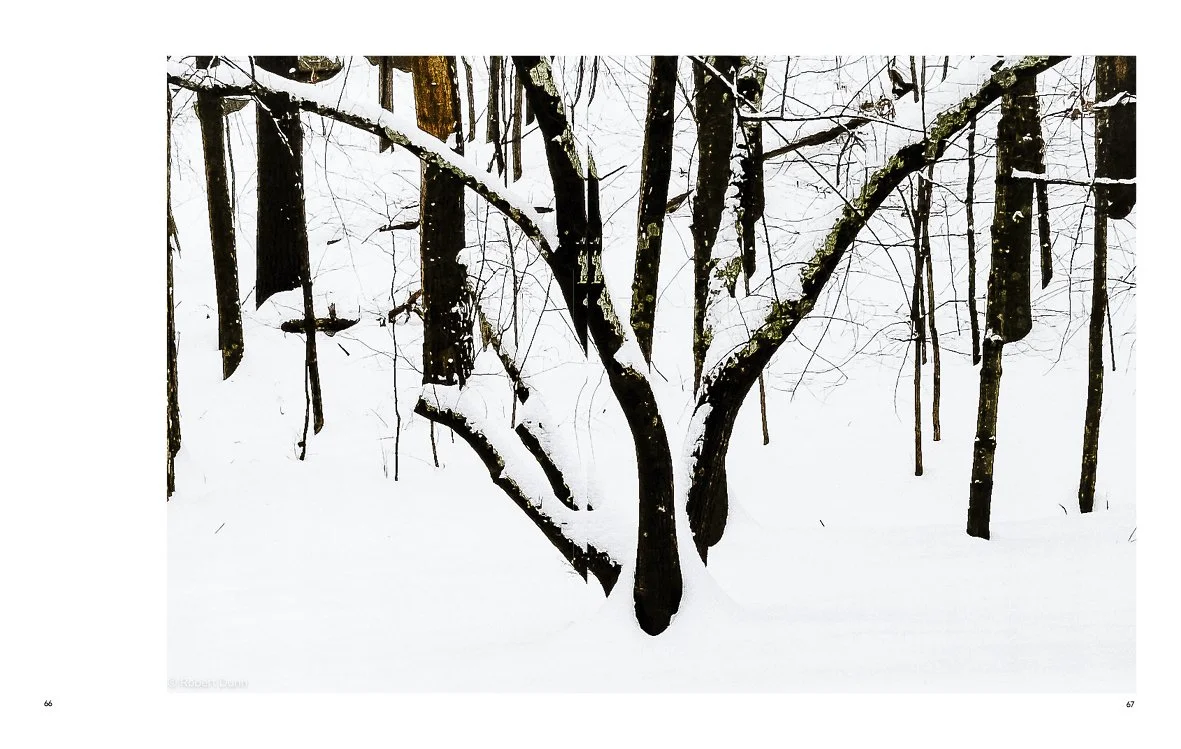 Fedora-For Web37.jpg