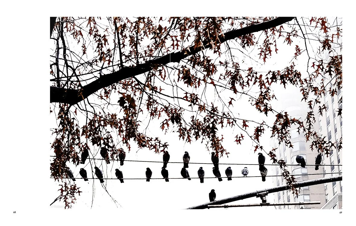 Fedora-For Web38.jpg