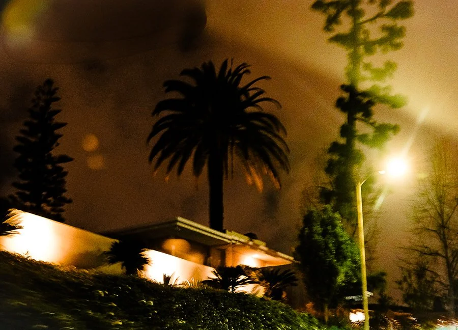 Furious Palms22.jpg