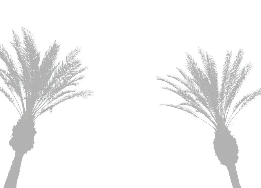 Furious Palms36.jpg