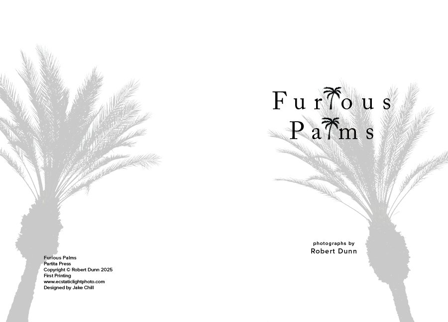 Furious Palms3.jpg