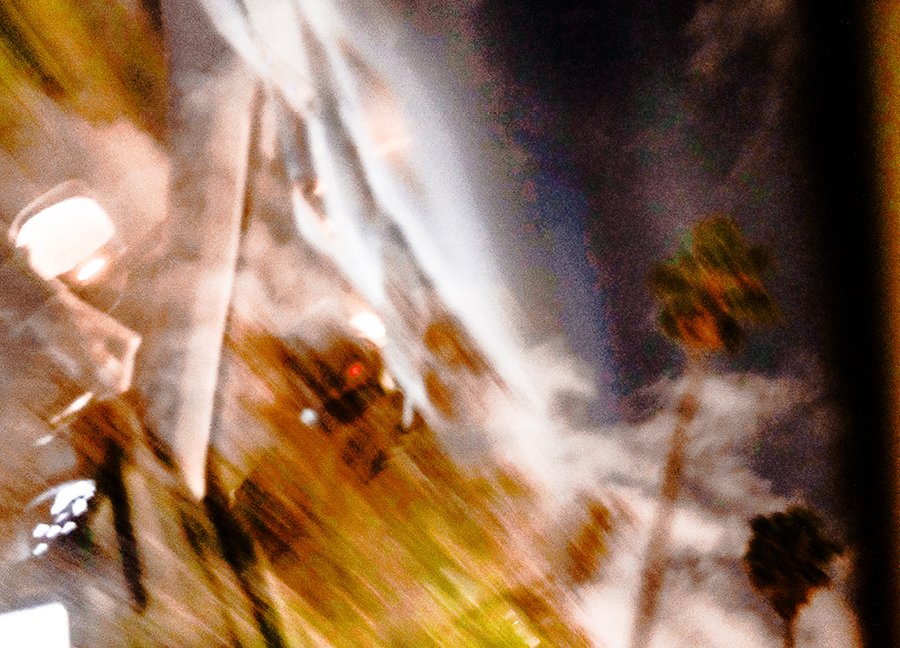 Furious Palms19.jpg