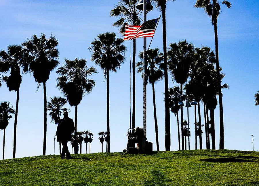 Furious Palms34.jpg