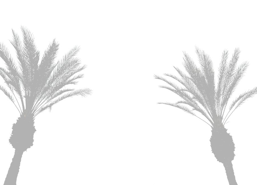 Furious Palms2.jpg
