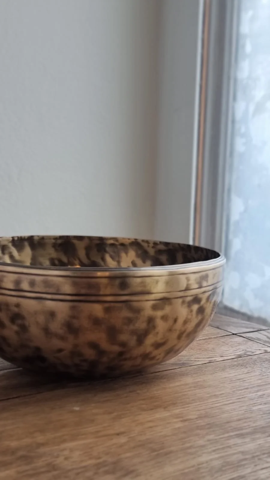 TIGER E bclose up.jpeg