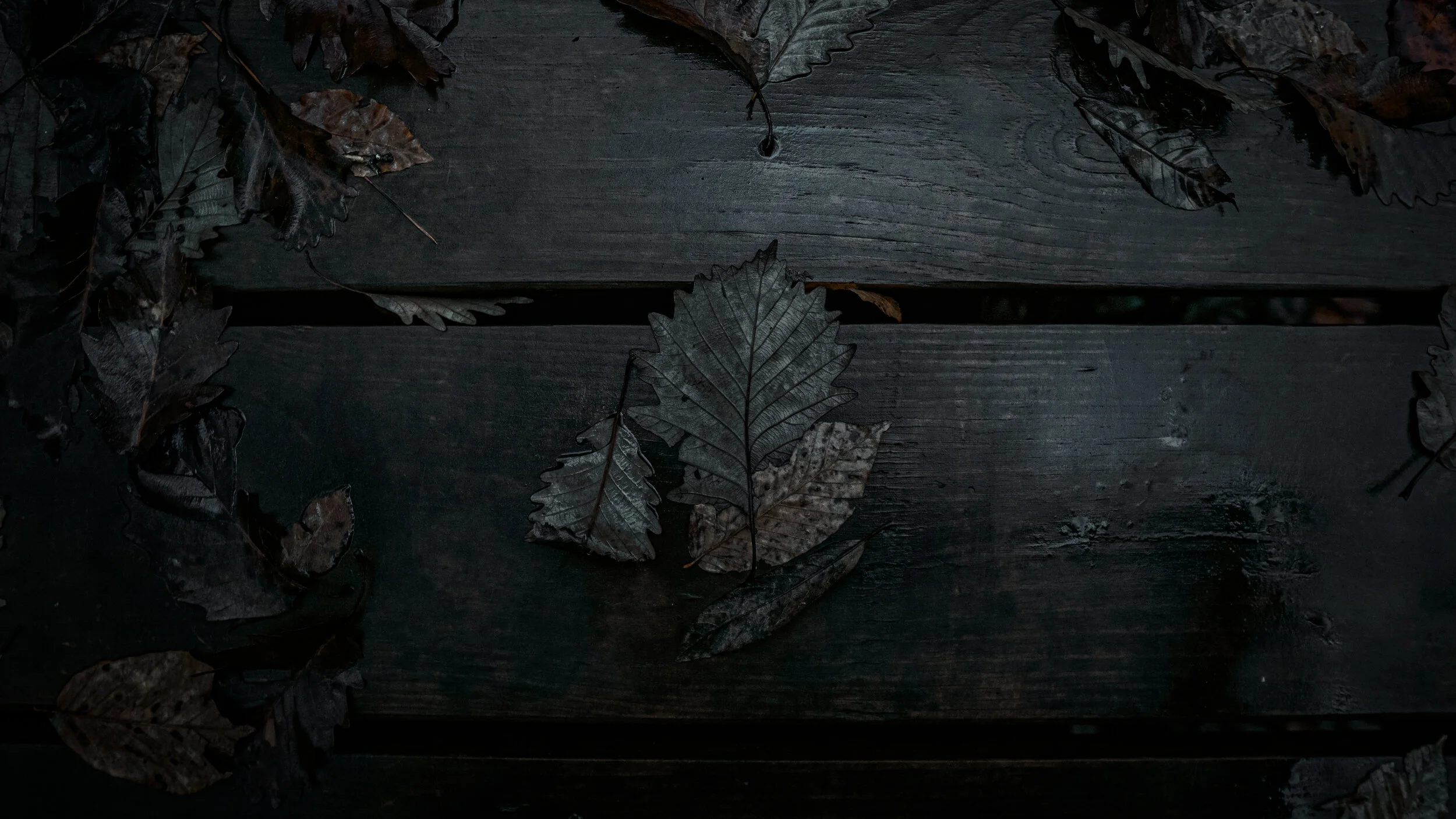 Blakeley 12-20-20-3.jpg