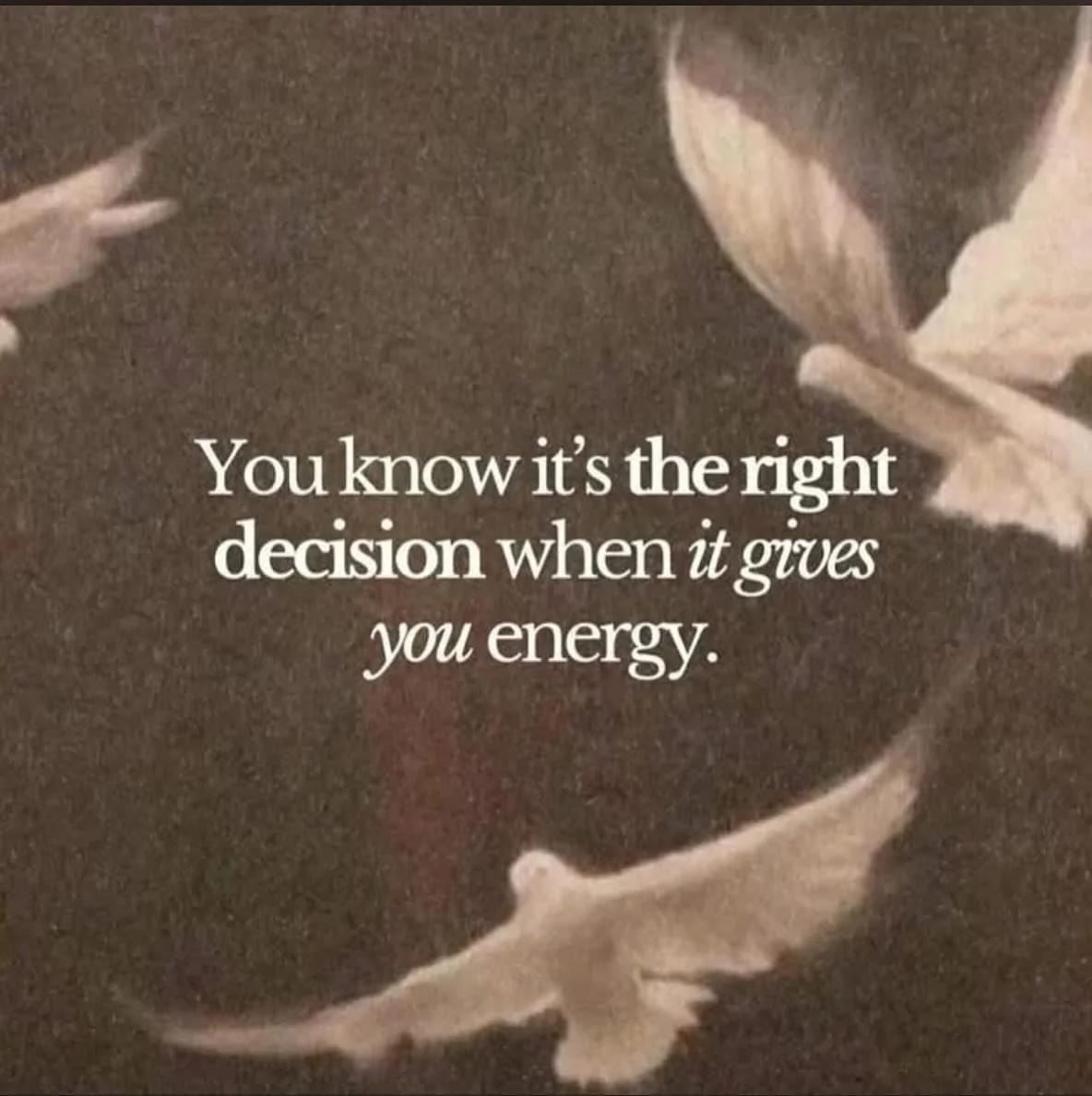 | e n e r g y |

Trust the choices that bring a little extra sparkle to your day&hellip;

Soft peace, quiet confidence, gentle alignment

✌️&amp;🤍
.
.
.
#yogawithjogreen #yogainspiration #friends #instagood #rebelyogaprojects #love #beautiful #yogag