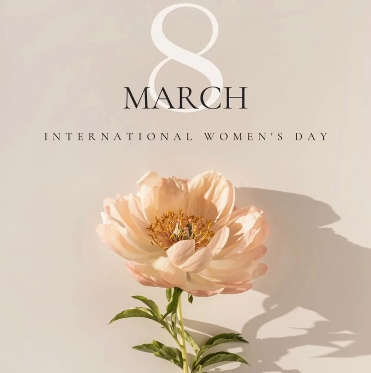 | i w d 2 0 2 6 |

Today I honour the strength, softness, resilience &amp; wisdom of women everywhere.

As women we hold so much, we create, nurture, lead, heal, &amp; rise again &amp; again. 

From quiet moments on the mat to powerful movements in t