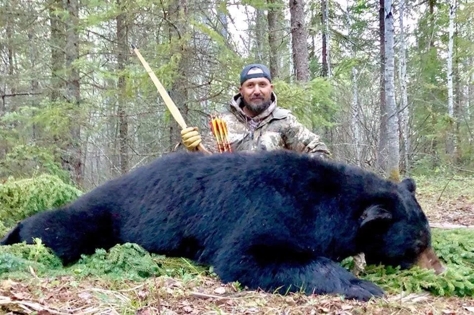 A man in camouflage is kneeling in a forest next to a large black bear on the ground, holding a bow with arrows.