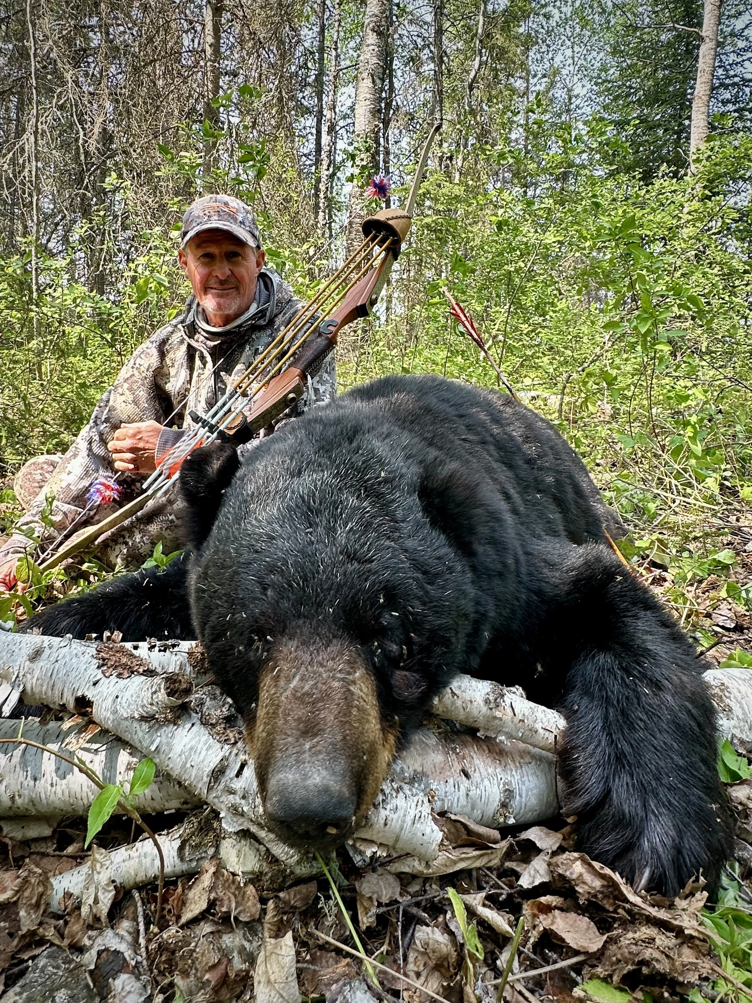 A man in camouflage is kneeling in the woods, holding a bow and arrows beside a large black bear lying on fallen branches.