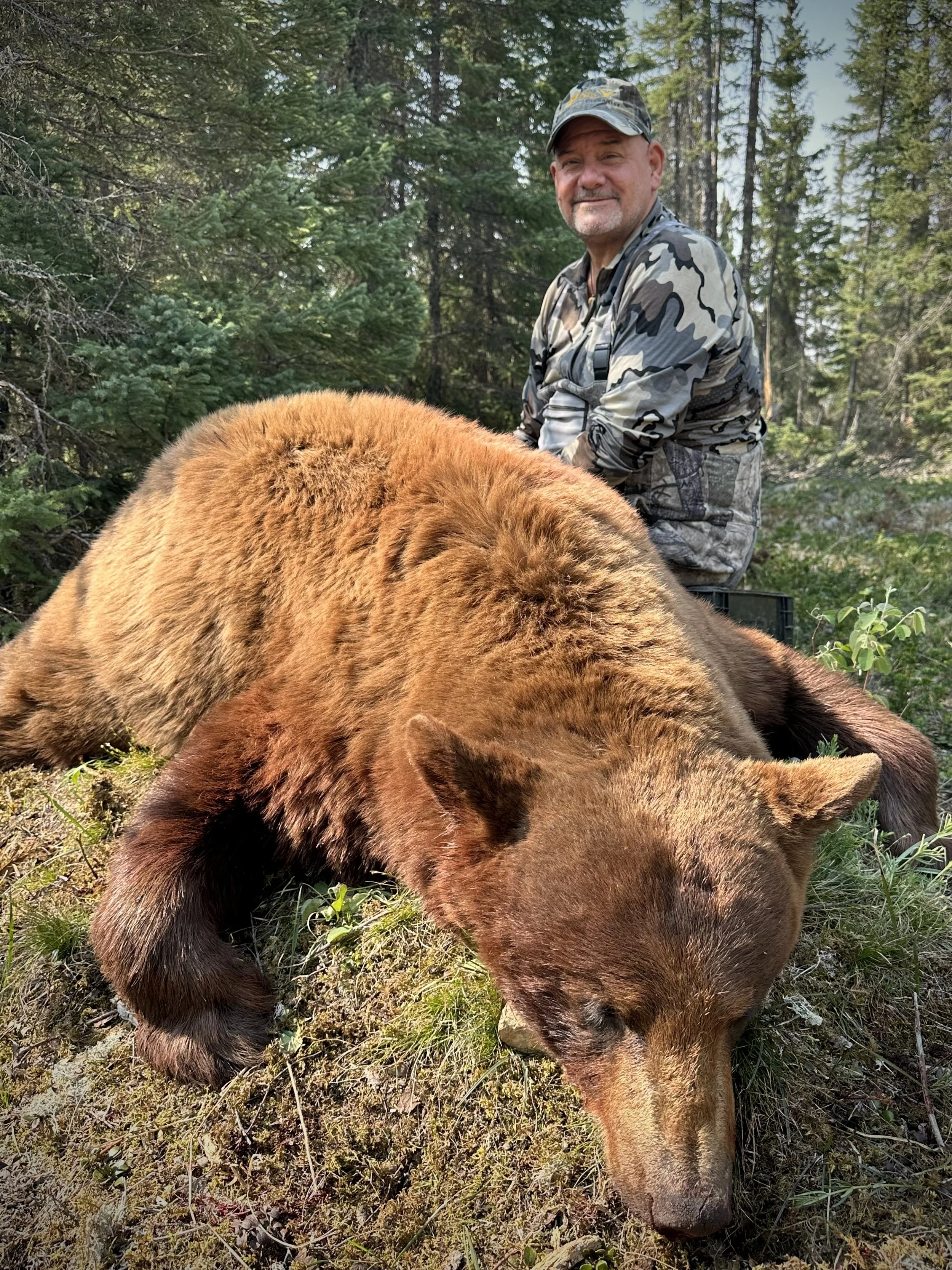 A man in camouflage clothing smiles behind a large brown bear lying on the ground in a forest.