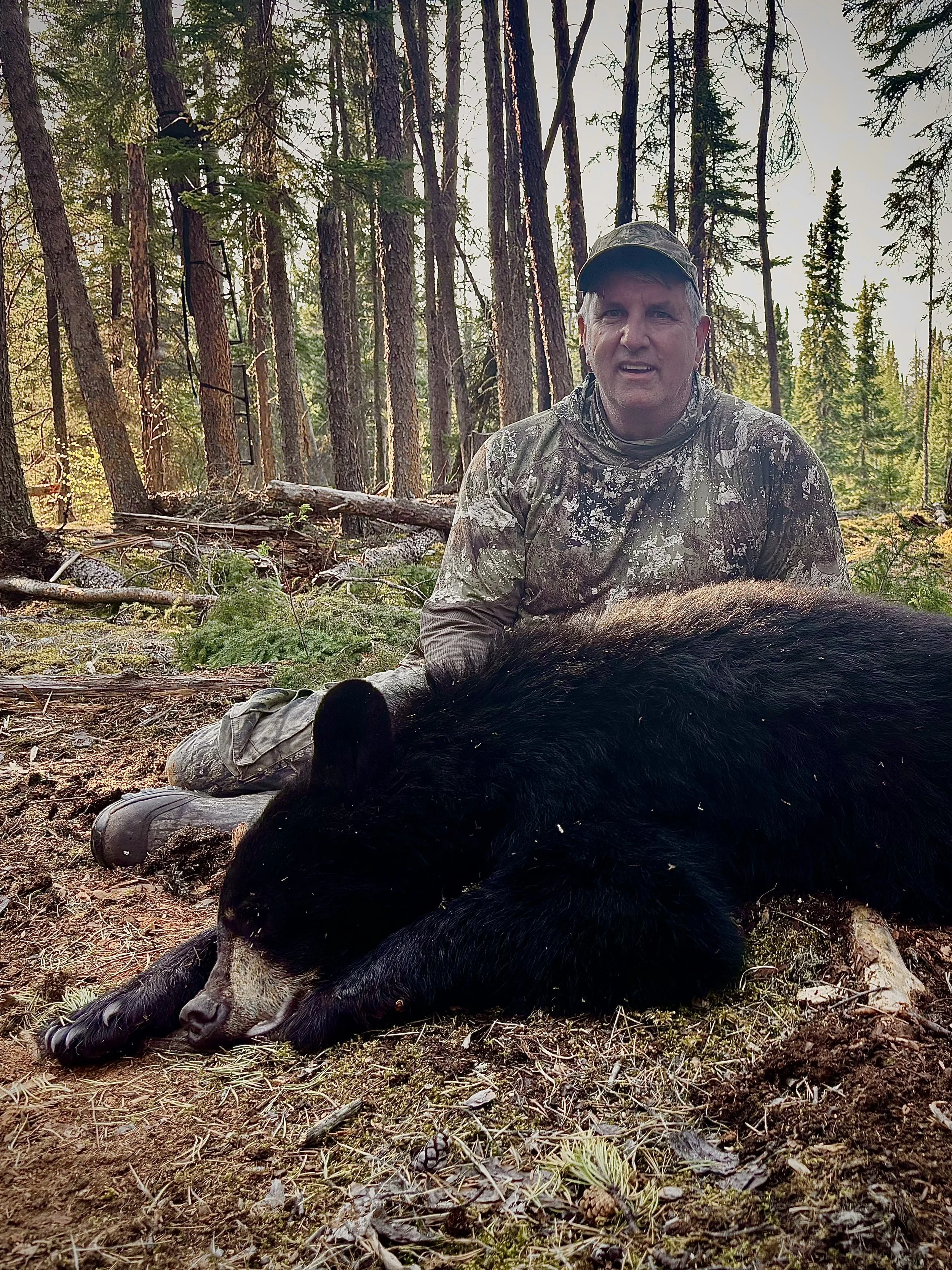 A man in camouflage clothing is sitting next to a large black bear lying on the ground in a forest of tall green trees.