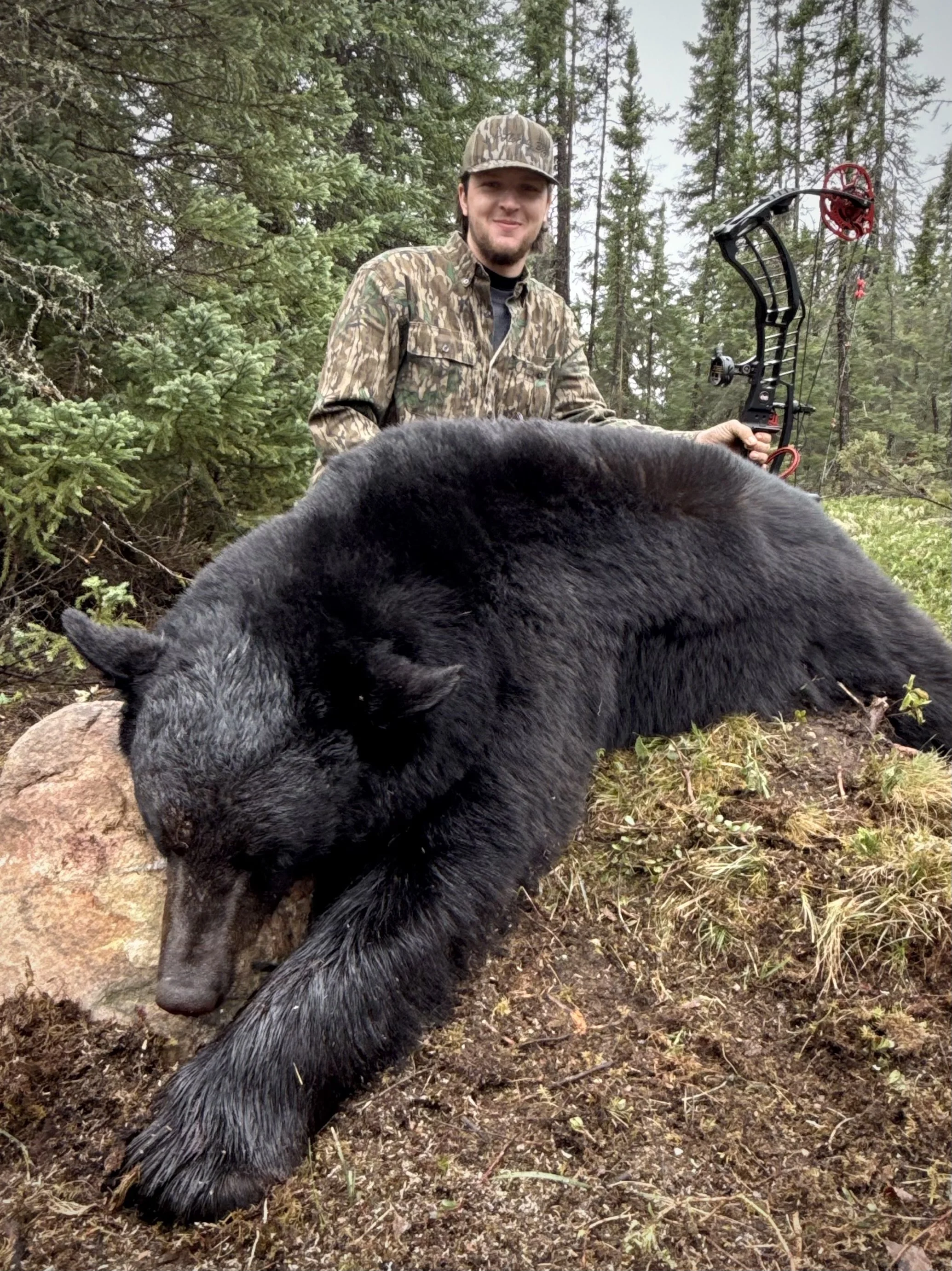 A man dressed in camouflage holding a compound bow in a forested area, with a large black bear lying on the ground in front of him.