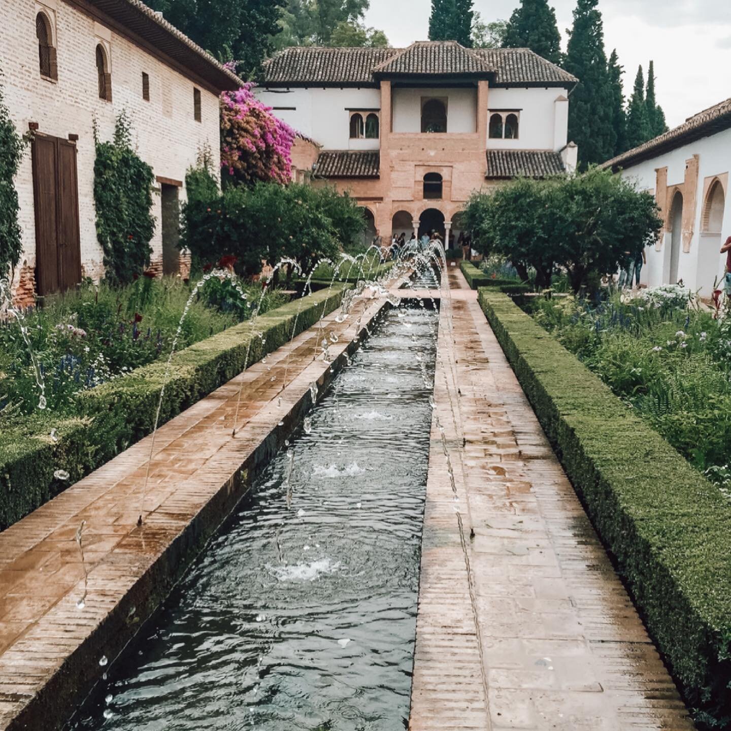A tour of the Alhambra in Granada, with an amazing guide. This place really exceeded my expectations and so did the guide. The grounds are beautiful and immaculately maintained. 

Fun fact: we lived in a city called Alhambra in Los Angeles at the tim
