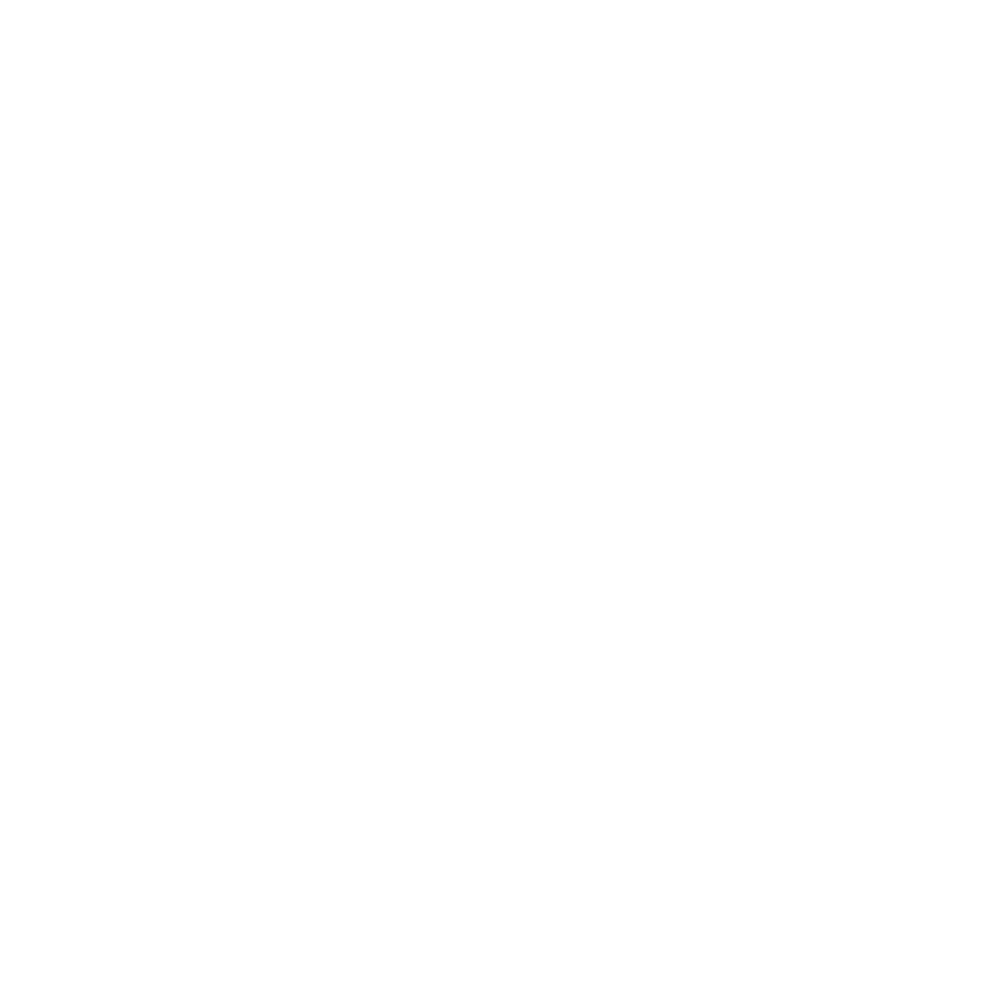 ICON LOGO - POLARITY.png