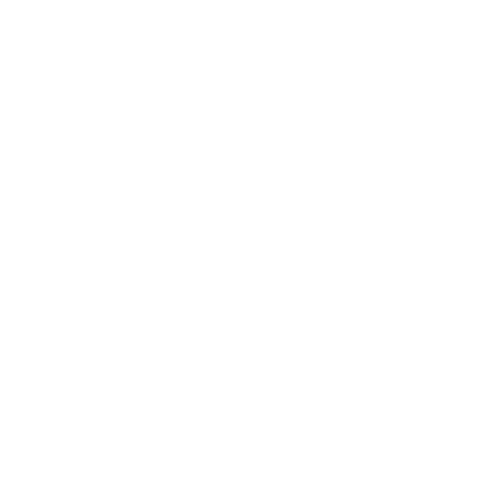 ICON LOGO - VOX NOCTEM.png