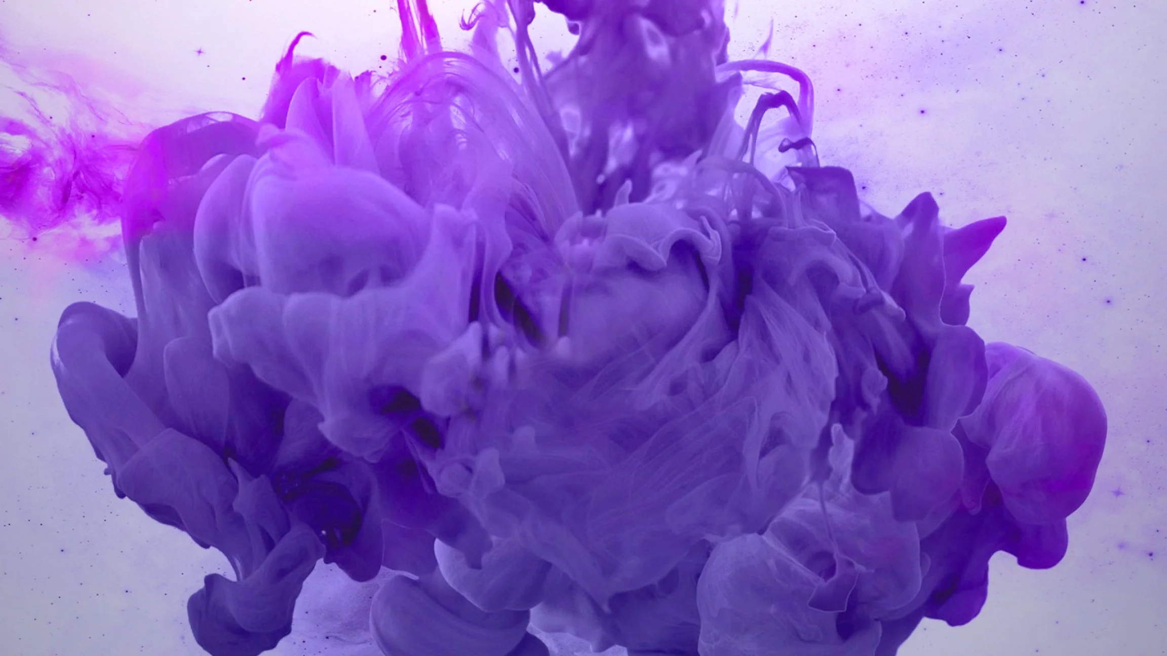 BG - FLUID FULL PURPLE.jpg