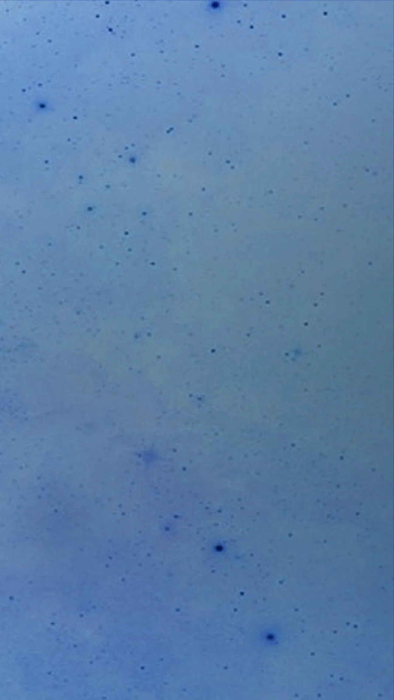 BG - BLUE SPLATER TALL 01 .jpg