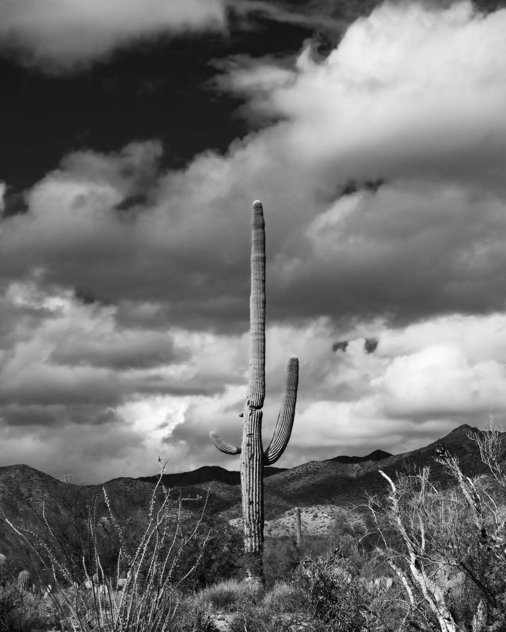 Southwest