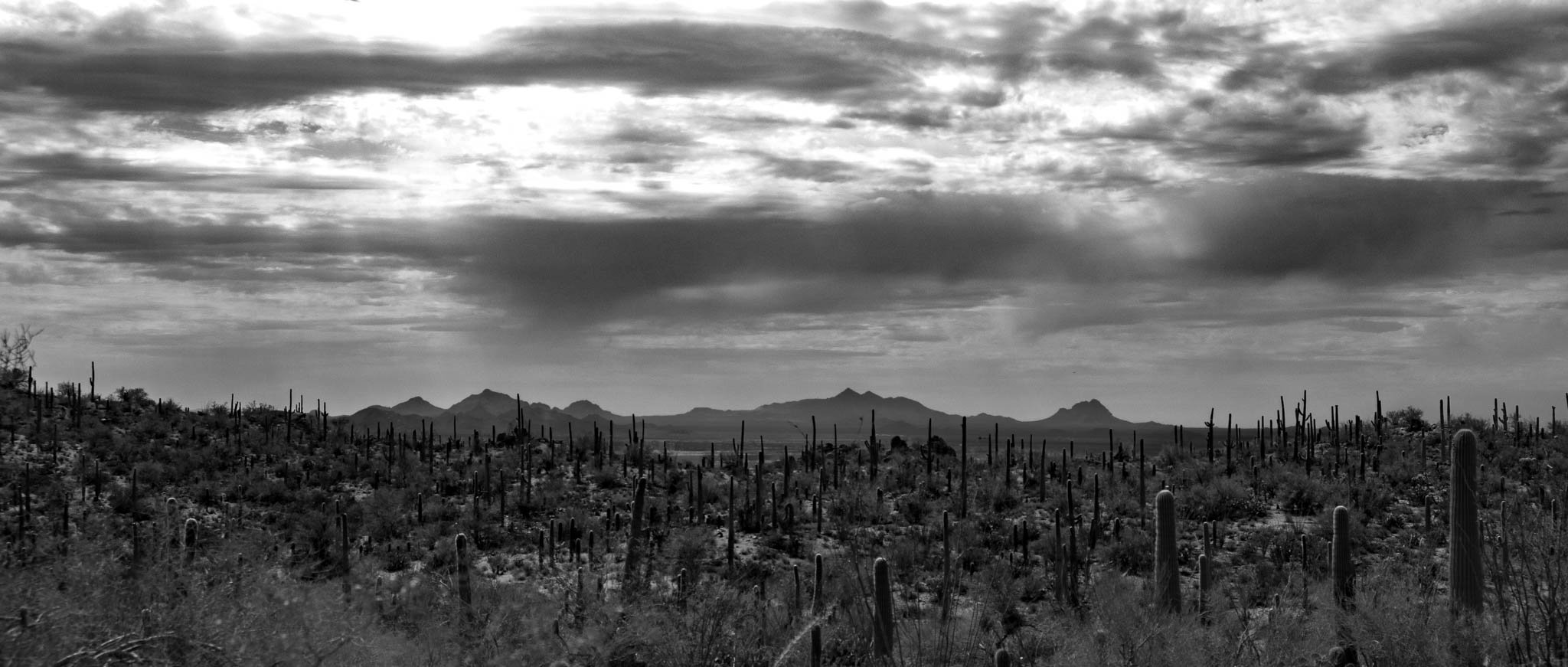 03_Southwest_Mountain West.jpg