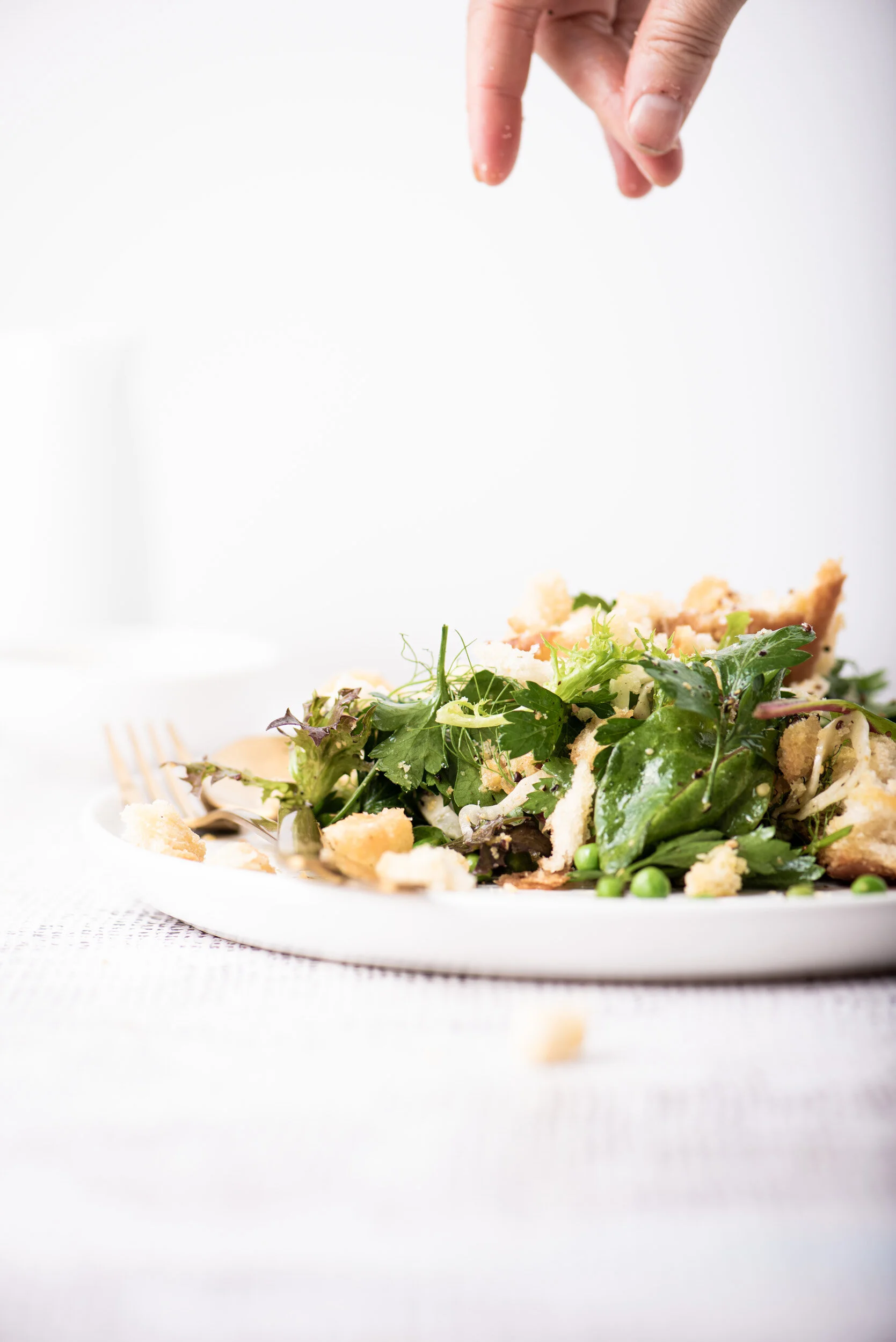 Panzanella green salad jodie gould photography