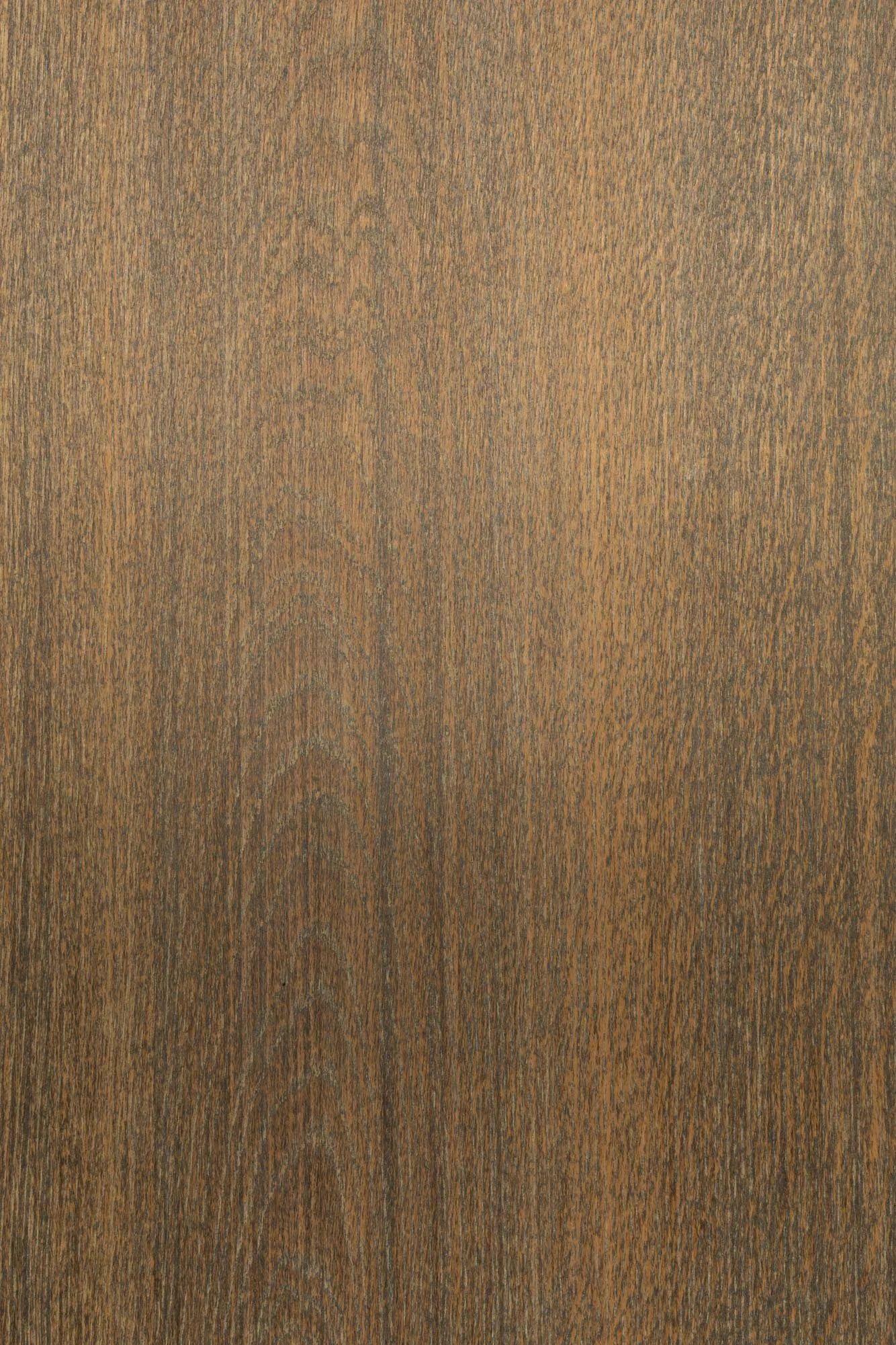 pgno-dennebos-G.01-web-A7404774.jpg