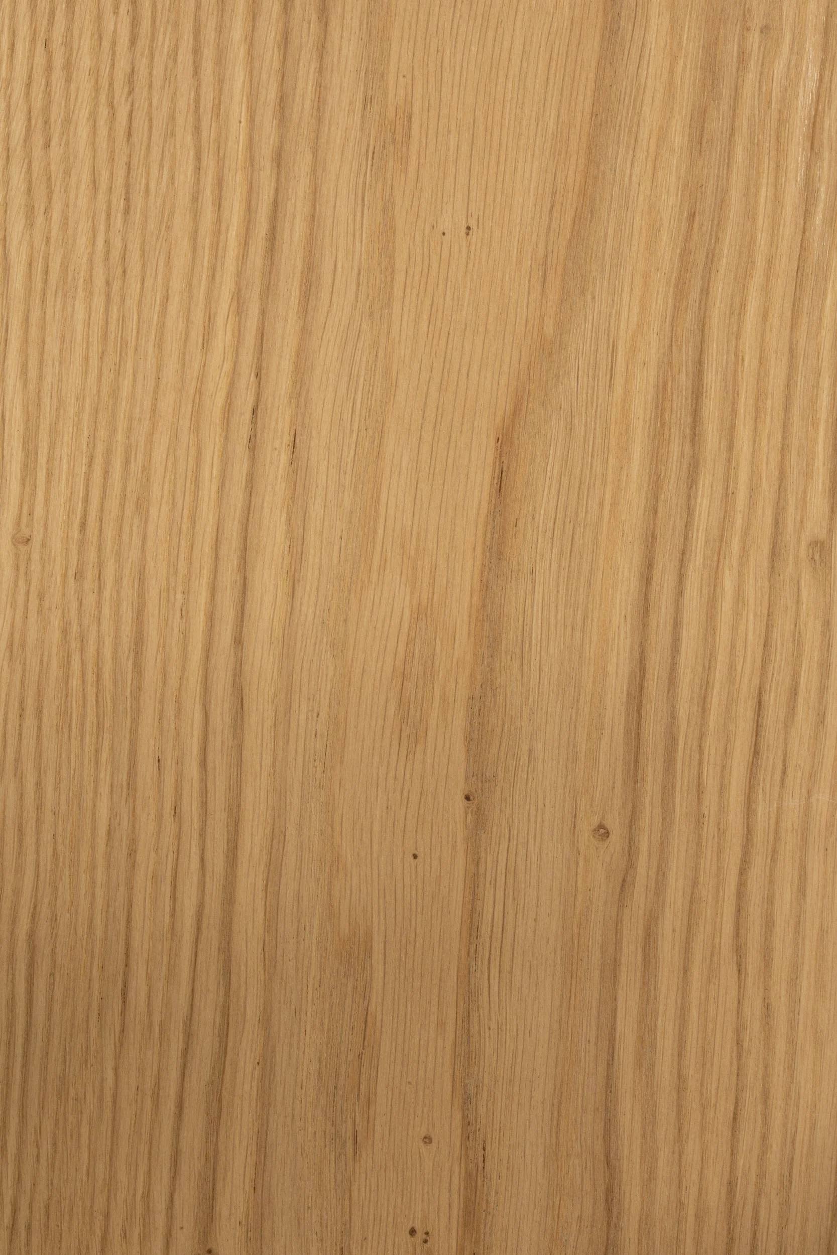 pgno-dennebos-W.07-web-A7404763.jpg