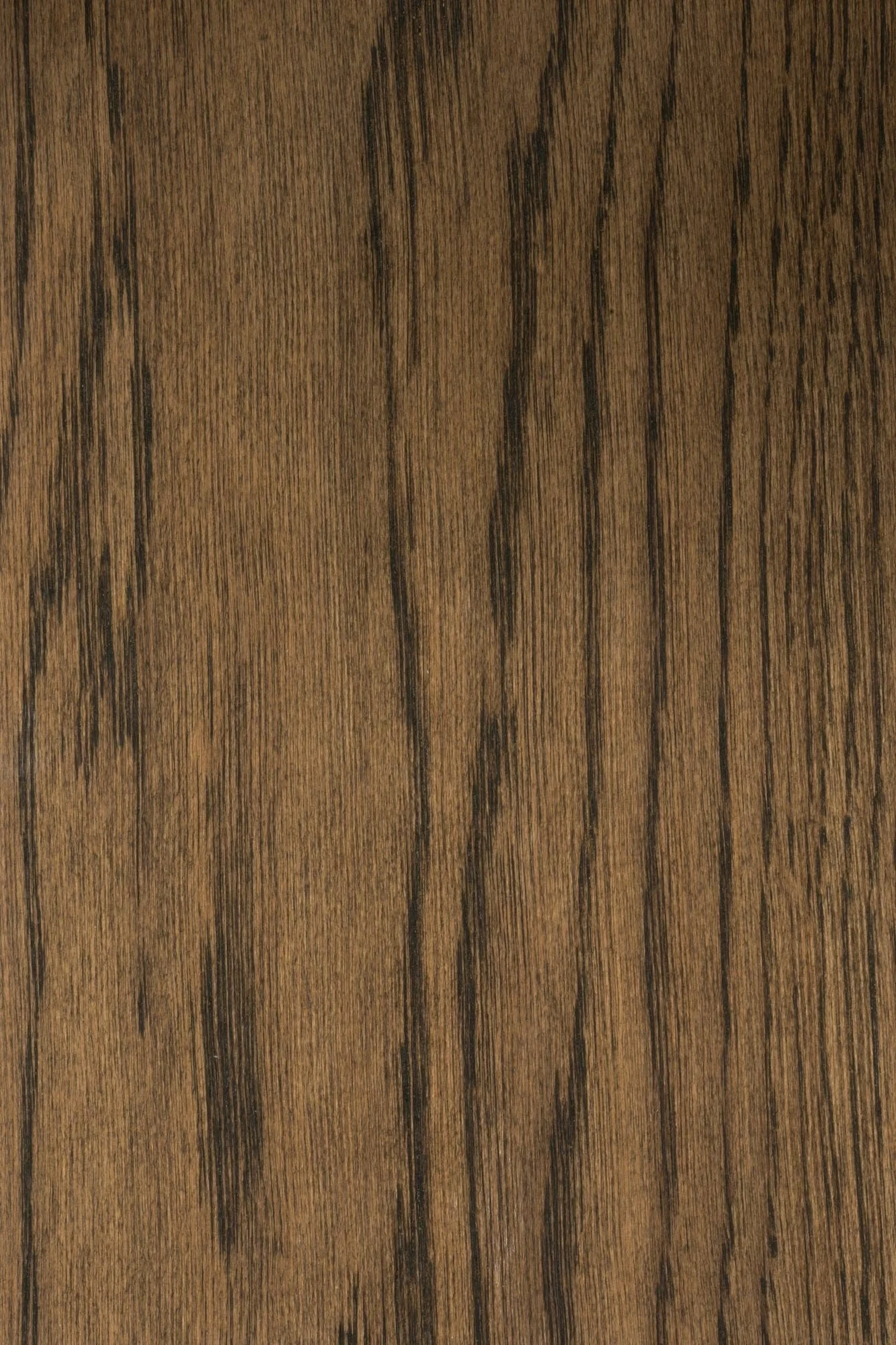 pgno-dennebos-D.01-web-A7404764.jpg